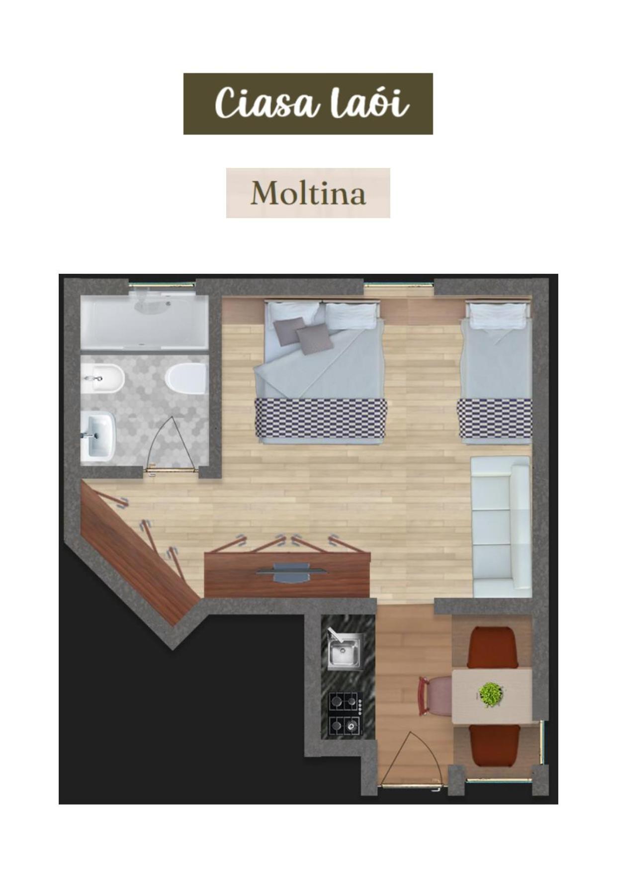 Apartment Ciasa Laoi *